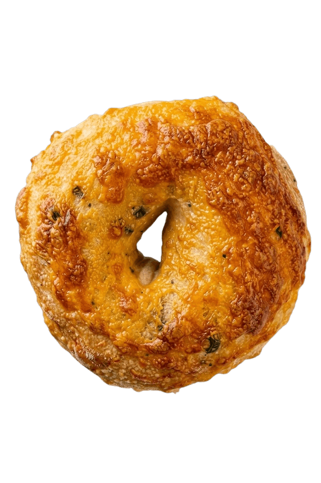 Jalapeno cheddar bagel