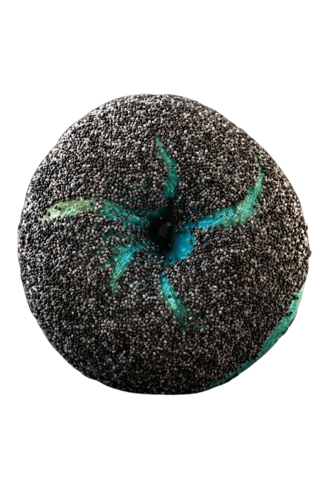 Surprise monthly drop bagel