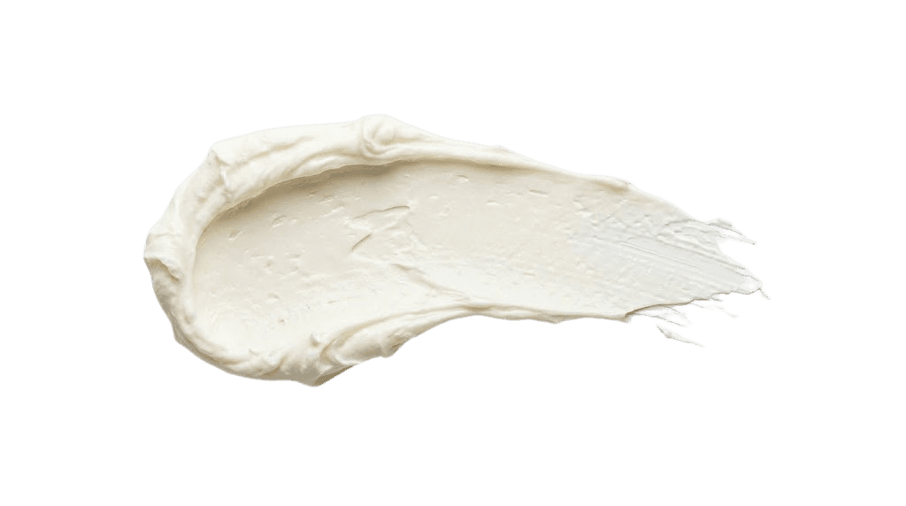 Plain Cream Cheese schmear